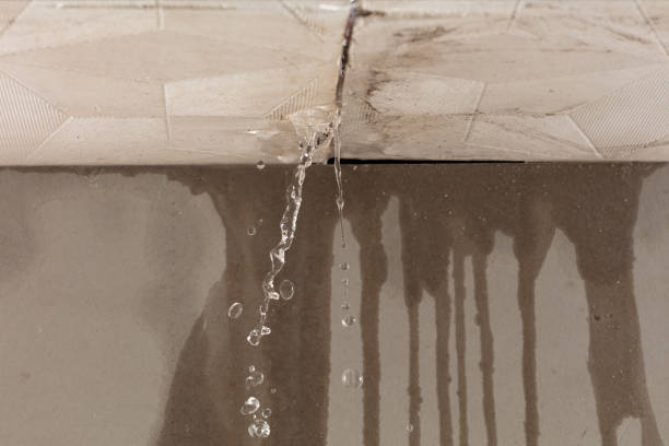 Professional Burst Pipe Cleanup technician working in Carthage, NY